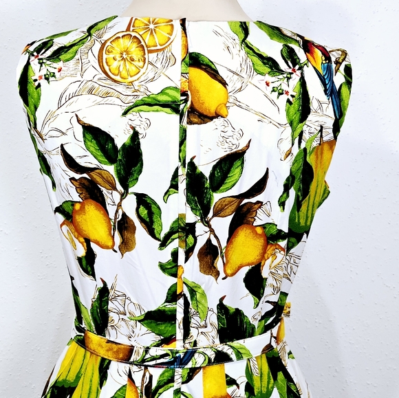 Samantha Sung Lemon Print A-Line Sleeveless Midi Dress Size 8 - Picture 12 of 16